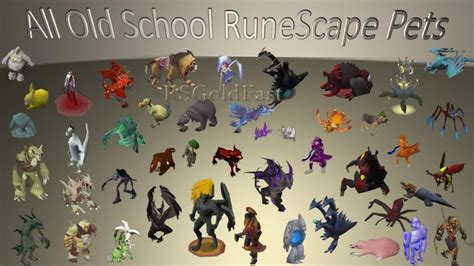 list of osrs pets.